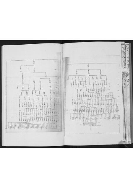 福建张氏族谱-[张氏]清河金鱼世谱.pdf电子版插图4