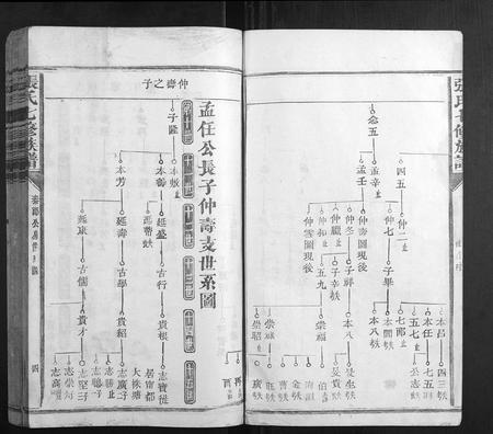 福建张氏族谱-张氏七修族谱.pdf电子版插图4