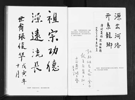 福建张氏族谱-张氏族谱.pdf电子版插图4