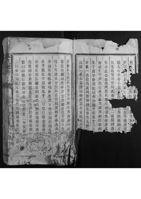 福建张氏族谱-张氏总谱.pdf电子版插图4 福建张氏族谱-张氏总谱.pdf电子版插图4