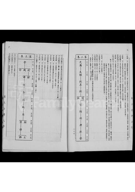 福建张氏族谱-张氏大宗谱.pdf电子版插图4