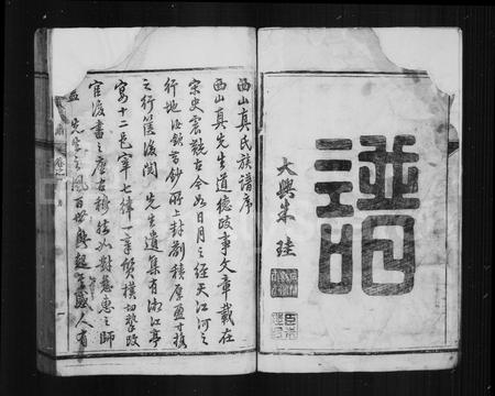 福建真氏族谱-西山真氏族谱.pdf电子版插图4 福建真氏族谱-西山真氏族谱.pdf电子版插图4