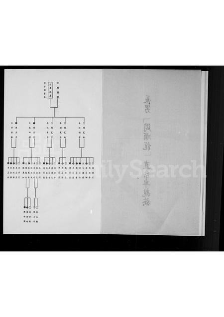 福建周氏族谱-[周氏]亲族谱.pdf电子版插图4