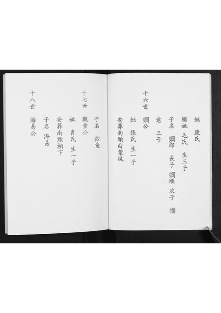 福建陈氏族谱-陈氏族谱.pdf电子版插图4