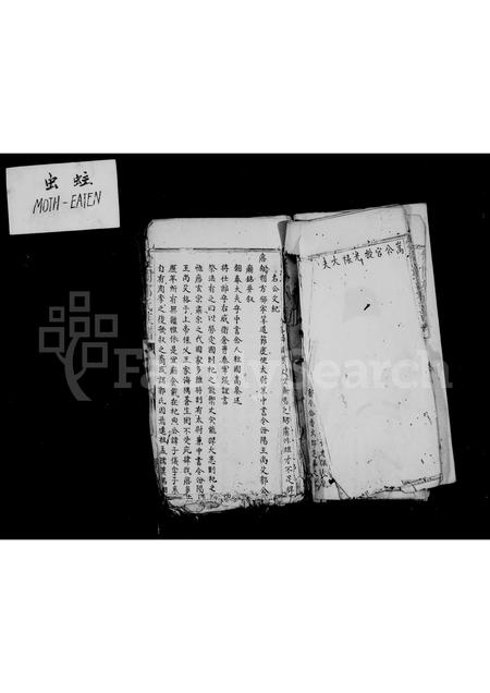 福建郭氏族谱-双阙郭氏族谱.pdf电子版插图4