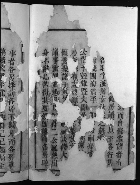 福建傅氏族谱-清河傅氏八修大成谱 [卷数不详].pdf电子版插图4
