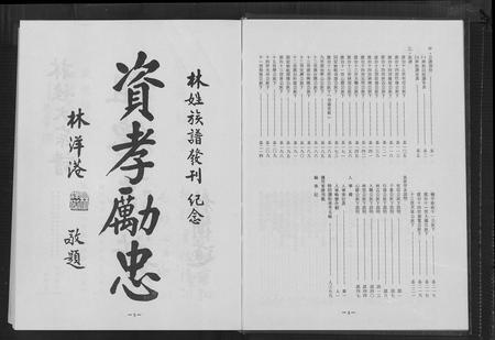 福建林氏族谱-林姓大宗谱[1册].pdf电子版插图4