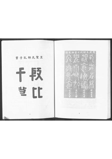 福建林氏族谱-联桂振武桥林氏族谱[1册].pdf电子版插图4