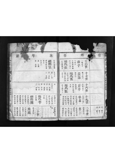 福建邱氏族谱-邱氏宗谱 [3卷,首1卷].pdf电子版插图4