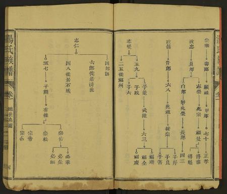 福建汤氏族谱-汤氏族谱 [8卷首1卷].pdf电子版插图4