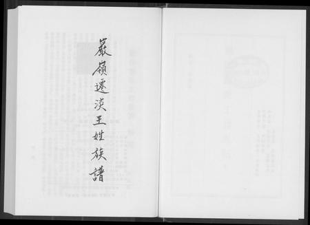 福建王氏族谱-巖岭迁淡王姓族谱.pdf电子版插图4