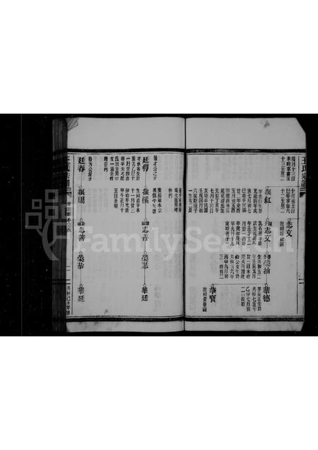 福建王氏族谱-王氏宗谱 _ 福鼎店下乡玉岐.pdf电子版插图4