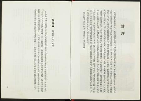 福建洪氏族谱-[洪氏]英山应瑜公派下谱系.pdf电子版插图4