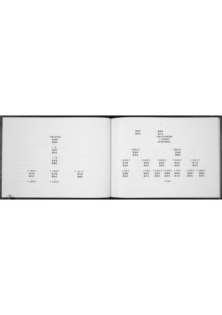 河南陈氏族谱-陈氏家谱[不分卷].pdf电子版插图4