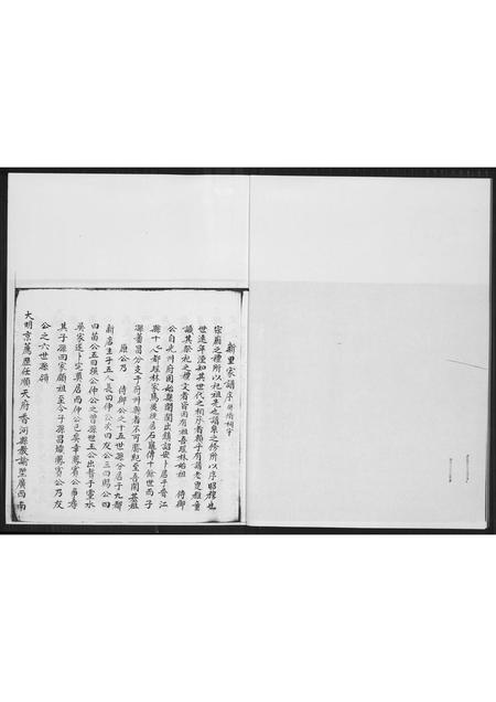 福建许氏族谱-[许氏]新里五房强公派下仙养公家谱.pdf电子版插图4