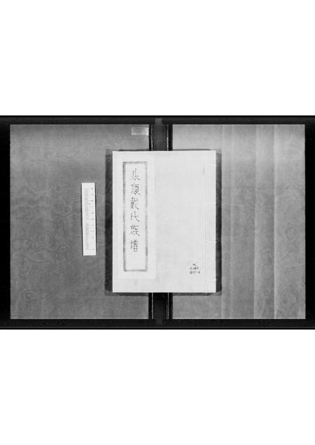 广东戴氏族谱-乐康戴氏族谱 [不分卷].pdf电子版插图4