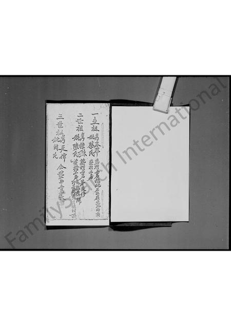 广东杜氏族谱-杜氏族谱.pdf电子版插图4