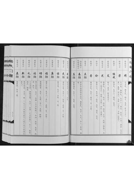 河南冯氏族谱-冯氏门谱[上下卷].pdf电子版插图4
