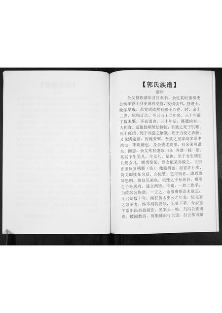 河南郭氏族谱-郭氏族谱[不分卷].pdf电子版插图4