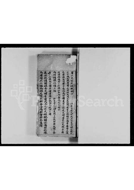 广东、福建胡氏族谱-胡氏族谱.pdf电子版插图4