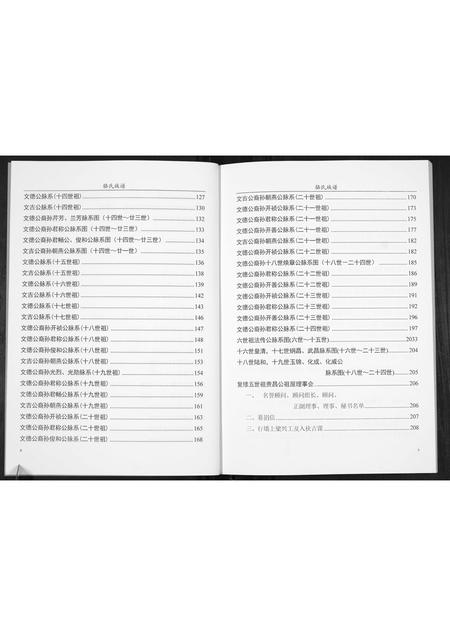 广东骆氏族谱-骆氏族谱[不分卷].pdf电子版插图4