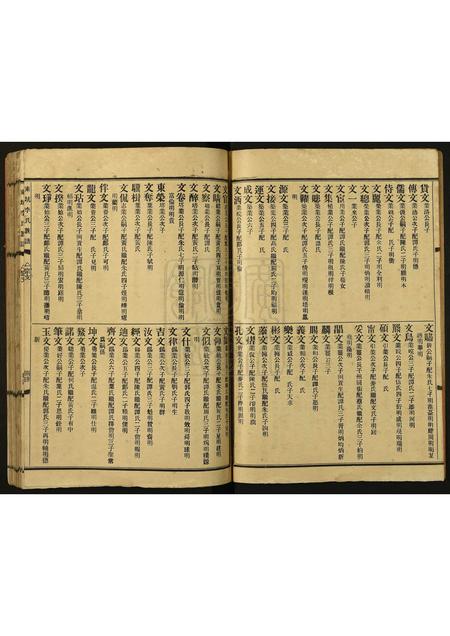 广东李氏族谱-东坑李氏族谱.pdf电子版插图4