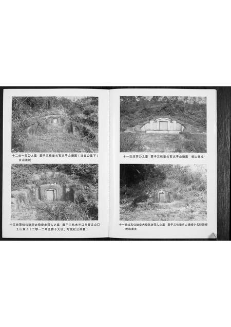 广东李氏族谱-矮岗李氏族谱.pdf电子版插图4