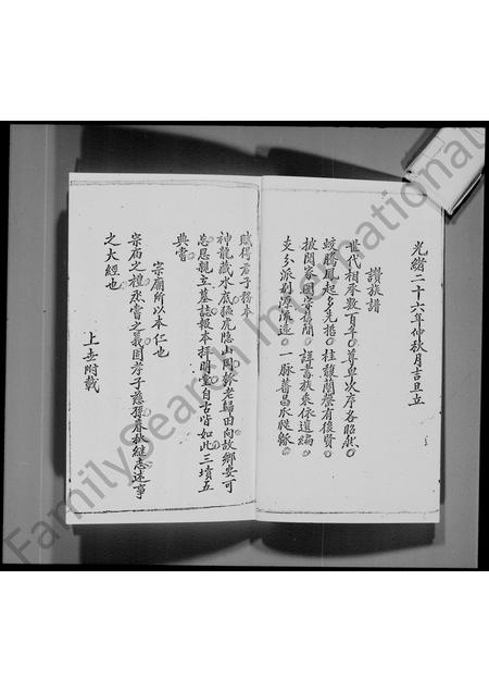 广东李氏族谱-宝安县船湾涌尾李氏族谱.pdf电子版插图4