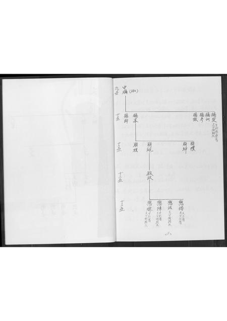福建黄氏族谱-同安房金柄纶公派下支分文斗安聚公(字驰复)分布支图简录.pdf电子版插图4