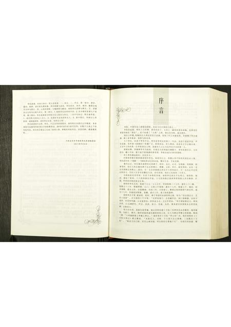 河南李氏族谱-南程李氏家谱.pdf电子版插图4