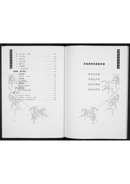 河南李氏族谱-月亮湾李氏家谱.pdf电子版插图4