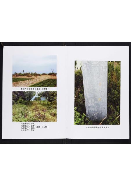 河南李氏族谱-李氏家谱[不分卷].pdf电子版插图4