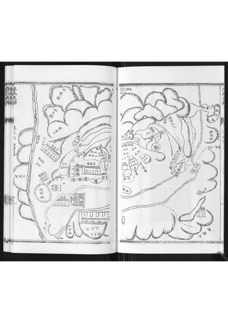 河南李氏族谱-李氏支谱.pdf电子版插图4