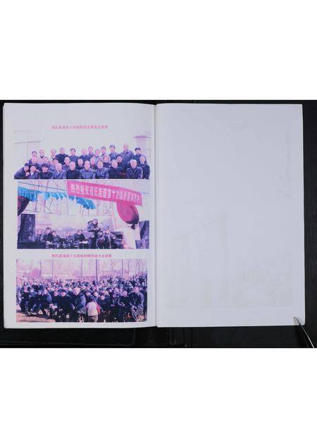 河南理氏族谱-理氏族谱(全集上下卷).pdf电子版插图4