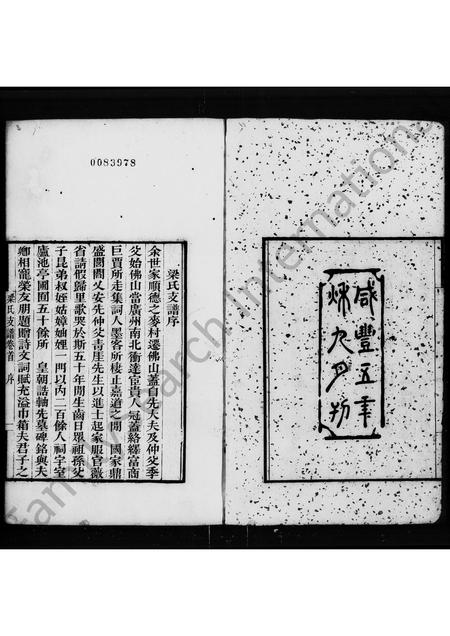 广东梁氏族谱-梁氏支谱 [6卷,首1卷].pdf电子版插图4