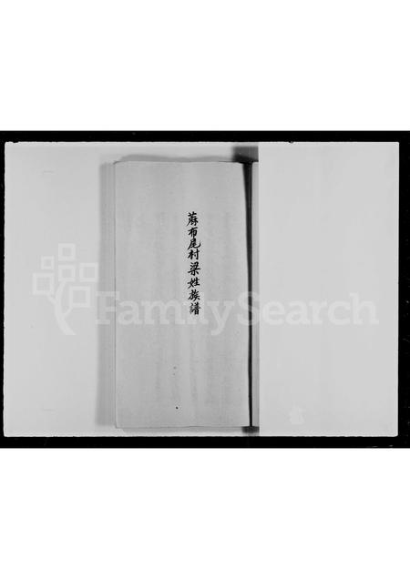 广东梁氏族谱-麻布尾村梁姓族谱.pdf电子版插图4