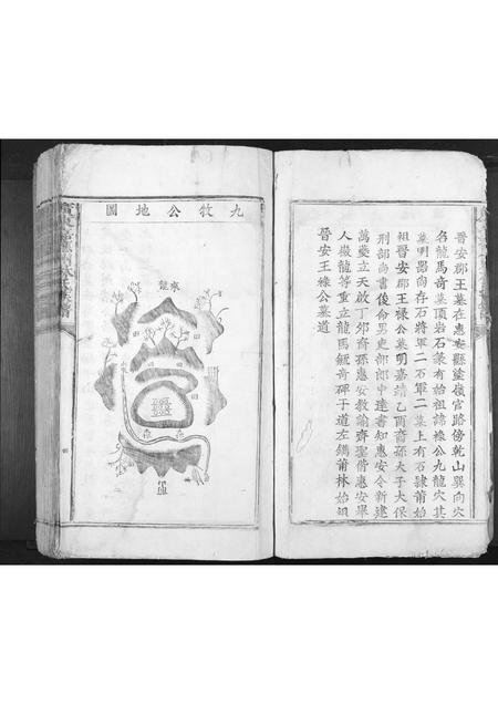 广东林氏族谱-广东嘉应州林氏族谱[不分卷].pdf电子版插图4