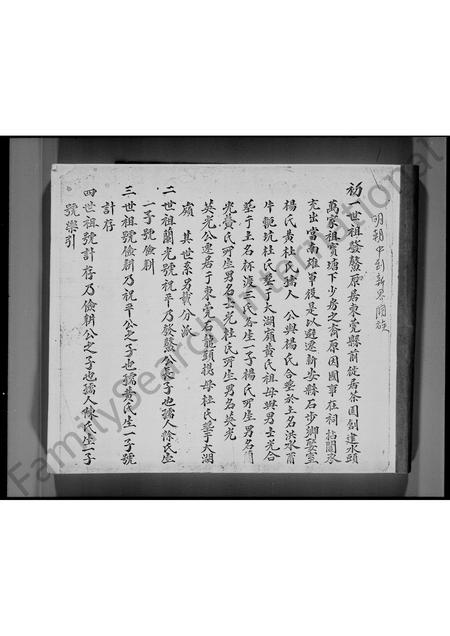广东林氏族谱-新界屯门林氏族谱.pdf电子版插图4