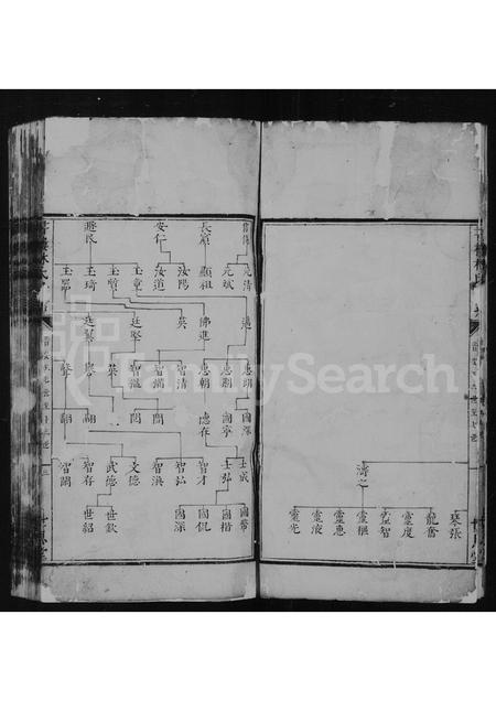 广东林氏族谱-书楼林氏世系.pdf电子版插图4
