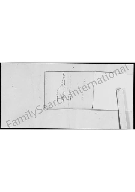 广东刘氏族谱-新会(虫雷)江刘氏中代谱系.pdf电子版插图4