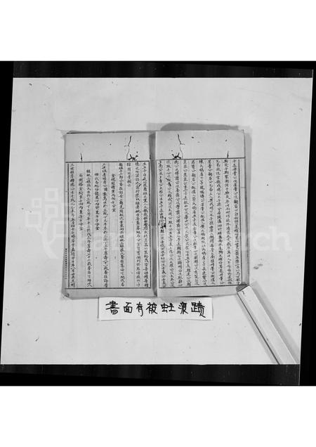 广东罗氏族谱-普宁南径罗氏族谱.pdf电子版插图4