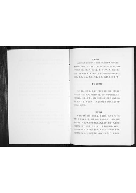 河南马氏族谱-开濮曹徐马氏家族轶事[不分卷].pdf电子版插图4