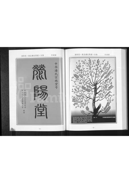 河南潘氏族谱-新县潘氏简谱 [全1卷].pdf电子版插图4