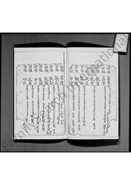 广东彭氏族谱-宝安县粉岭彭氏族谱节录.pdf电子版插图4