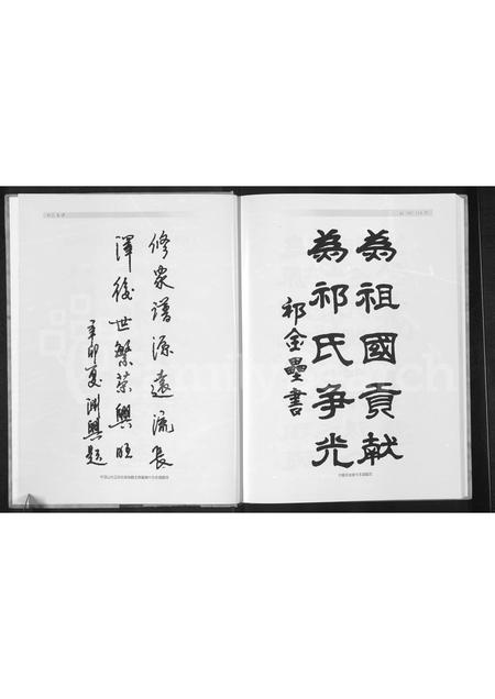 河南祁氏族谱-平顶山滑县祁氏家谱.pdf电子版插图4