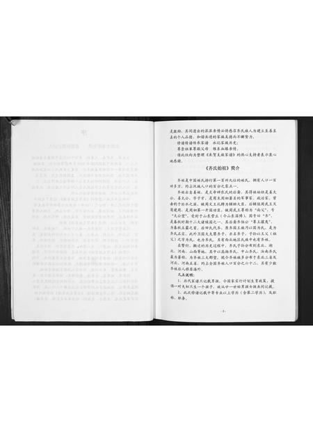 河南齐氏族谱-齐恒支族家谱.pdf电子版插图4