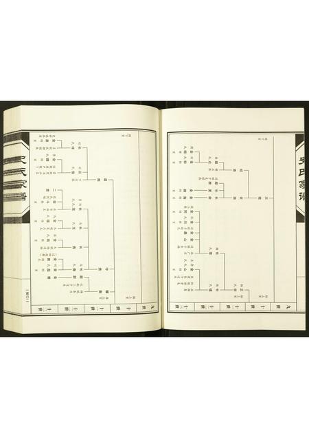 河南史氏族谱-史氏宗谱.pdf电子版插图4