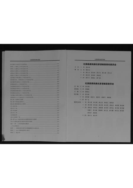 河南唐氏族谱-社旗县唐岗唐氏家谱[不分卷].pdf电子版插图4