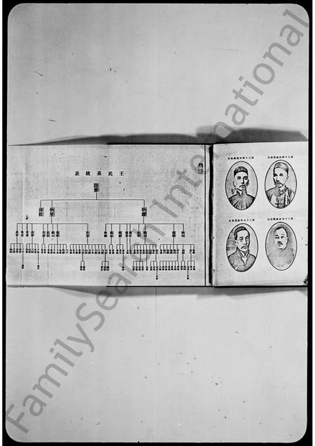 广东王氏族谱-东莞虎门王氏家谱.pdf电子版插图4 广东王氏族谱-东莞虎门王氏家谱.pdf电子版插图4