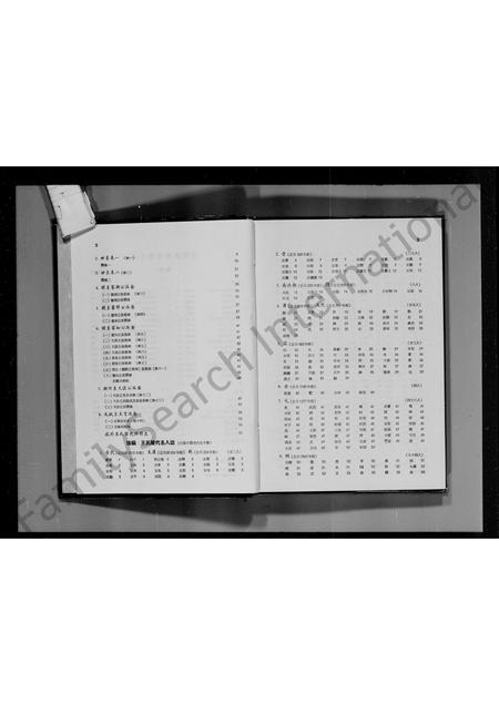 河南、广东、福建王氏族谱-王氏谱系及名人志.pdf电子版插图4